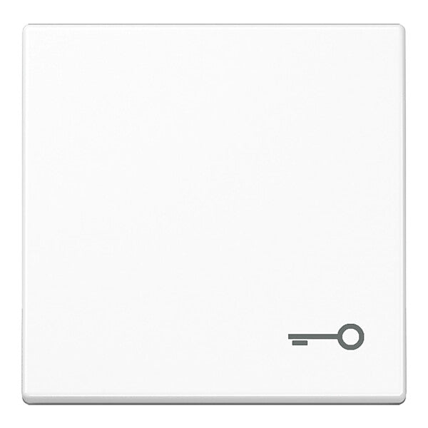 JUNG Wippe Symbol TÜR aws für Taster A 590 T WW